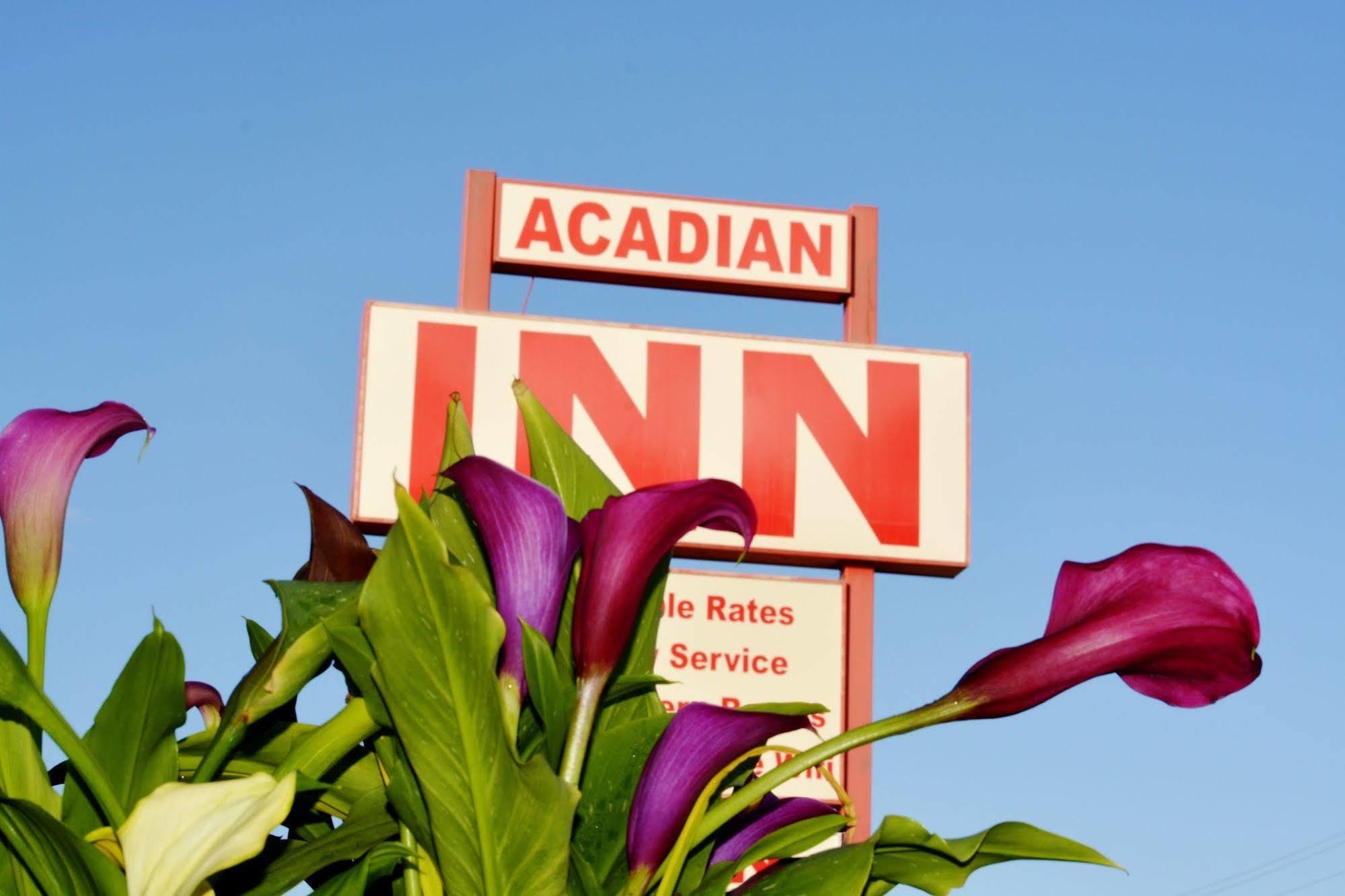 Canadas Best Value Inn & Suites 坎卢普斯 外观 照片